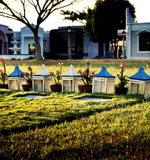 免费ddos压力测试平台